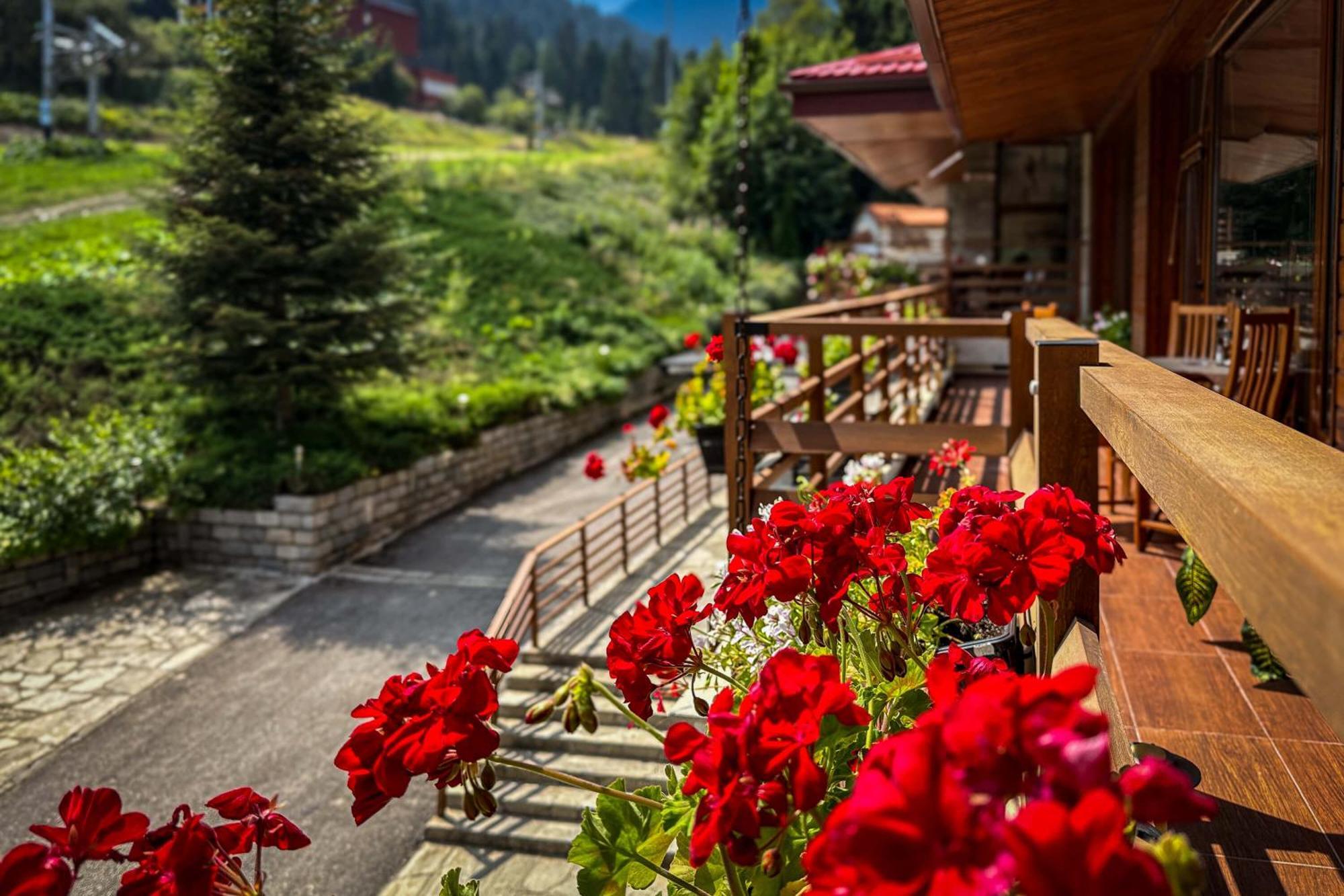 Musala Hotel Borovets Exterior foto